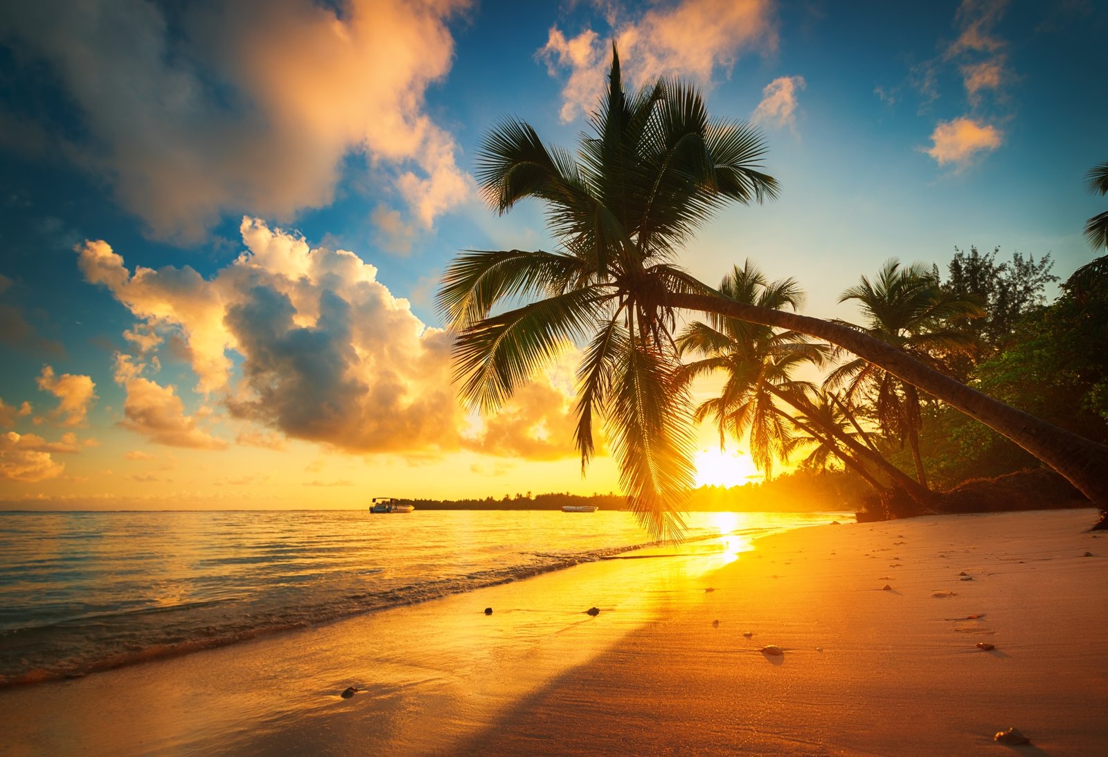 building-construction-industry-solar-energy-site-755446-pxhere.com (1)